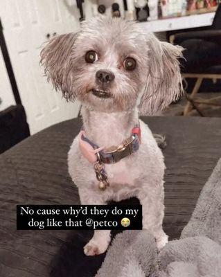 CF Personal Grooming, LLC