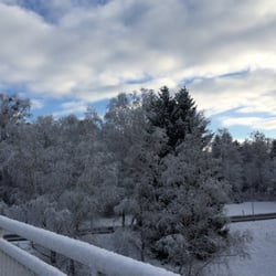 Südpark