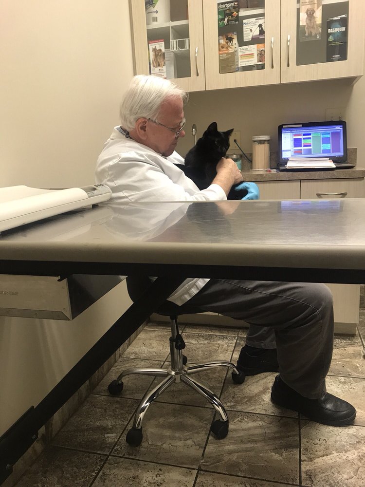 BRIARCREST VETERINARY CLINIC 12 Photos & 58 Reviews Veterinarians