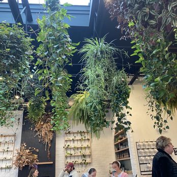 Botanical Creperie - Beautiful ceiling plants - Creperies Near Me - New Holland, Pennsylvania