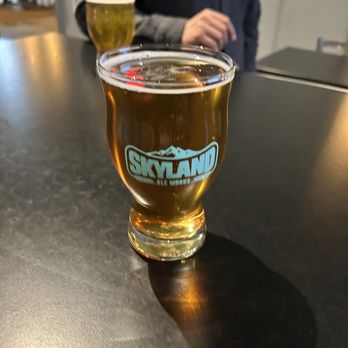 Skyland Ale Works - a glass of beer - Breweries Near Me - Corona, California Skyland Ale Works - a glass of beer - Breweries Near Me - Corona, California