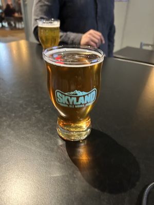 Skyland Ale Works by null