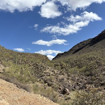 David Yetman Trail - Hiking Near Me - Tucson, Arizona