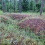 Photo of Ft Benning