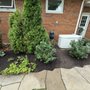 Photo of Mitchell & Sons Nursery & Garden Center