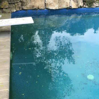 GZ Pool Works - Before picture of our pool - Pool & Hot Tub Service Near Me - Bellport , New York GZ Pool Works - Before picture of our pool - Pool & Hot Tub Service Near Me - Bellport , New York