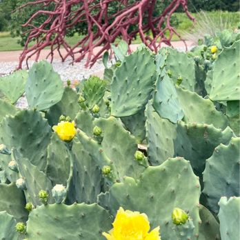 Houston Botanic Garden - Venues & Event Spaces Near Me - Houston, Texas Houston Botanic Garden - Venues & Event Spaces Near Me - Houston, Texas