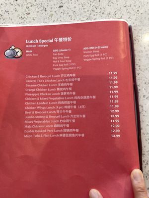 Menu photo 1 Nice Day Chinese New York, NY Menu photo 1 Nice Day Chinese New York, NY