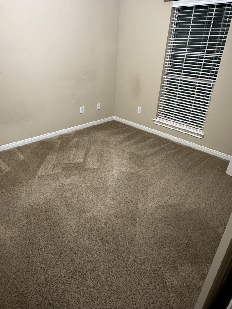 BRAINUM CARPET CLEANING Updated April 2024 11 Photos Waco, Texas