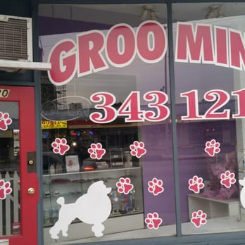 Shampoodle - Pet Groomers Near Me - Van Nuys, California Shampoodle - Pet Groomers Near Me - Van Nuys, California