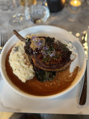 Songbird Parlour by null