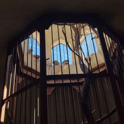 The Museum of Jurassic Technology - Dont miss the aviary on the roof !