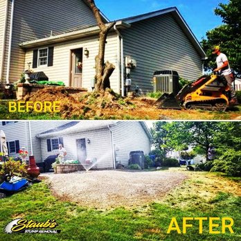 Staubs Stump Removal - Tree Services Near Me Staubs Stump Removal - Tree Services Near Me