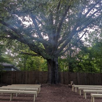 Lela's Place - The aisle with a canopy of branches of this 110 year old oak tree - Venues & Event Spaces Near Me - Peachtree City, Georgia Lela's Place - The aisle with a canopy of branches of this 110 year old oak tree - Venues & Event Spaces Near Me - Peachtree City, Georgia