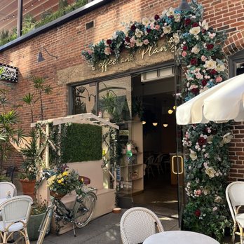 Coffee and Plants - Coffee & Tea Near Me - Pasadena, California Coffee and Plants - Coffee & Tea Near Me - Pasadena, California
