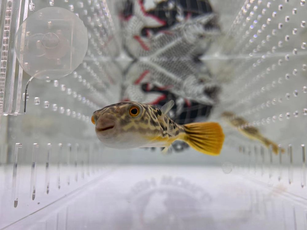 FISH WORLD AQUARIUM Updated May 2024 16 Photos 919 Ohio Pike