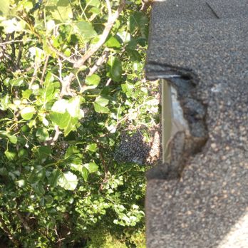All Clear Home Inspections - Home Inspectors Near Me All Clear Home Inspections - Home Inspectors Near Me