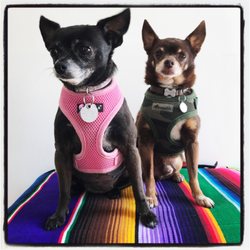 Cory Reddish, ND - Feel Better HQ - We are pet friendly!