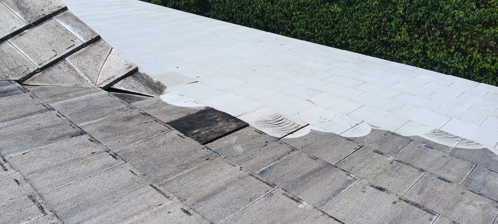 Slide of Qrazy Qreationz