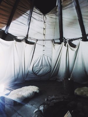 Magic Forest Farm by null