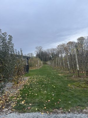 Cockrell Hard Cider by null