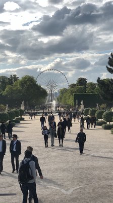 Discover Walks by null