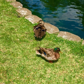 Lake Eola Park - Parks Near Me - Orlando, Florida