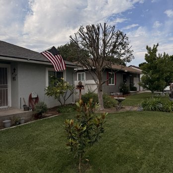 Elenes Tree Service - Tree Services Near Me - Rialto, California Elenes Tree Service - Tree Services Near Me - Rialto, California