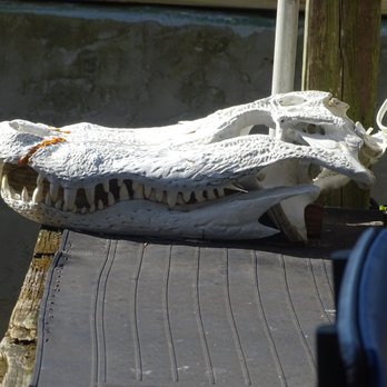 Corey Billie's Airboat Rides - Boat Tours Near Me - Collier, Florida Corey Billie's Airboat Rides - Boat Tours Near Me - Collier, Florida