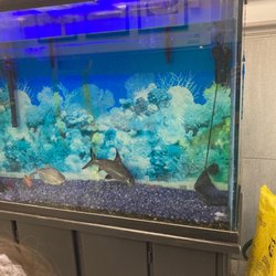 Sun Valley Pizza - Fish tank