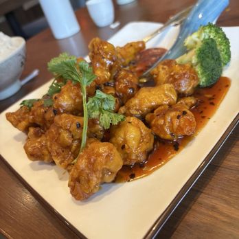 Peking Duck House - General toa chicken - Chinese Near Me - Pompano Beach, Florida