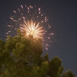 Lillian Webb Park - July 3, 2024