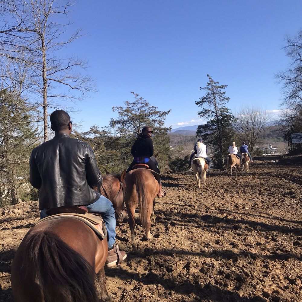Five Oaks Riding Stables - Horseback Riding Near Me - Sevierville, Tennessee Five Oaks Riding Stables - Horseback Riding Near Me - Sevierville, Tennessee