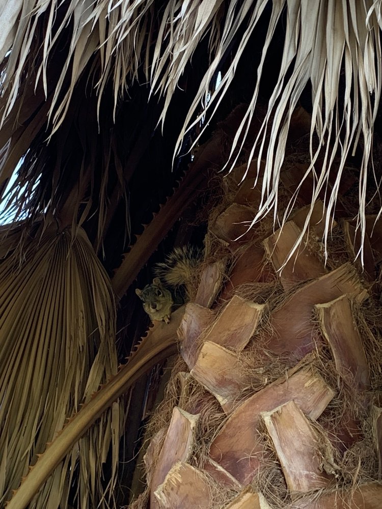 UPLAND HILLS COUNTRY CLUB 25 Photos & 74 Reviews Country Clubs