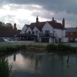 The Bear Inn - Beer garden and duck pond at the Bear in Stock, Essex
