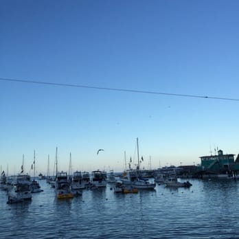 Bluewater Avalon - Beautiful View from Patio - Seafood Near Me - Avalon, California