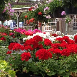 Stony Brook Gardens
