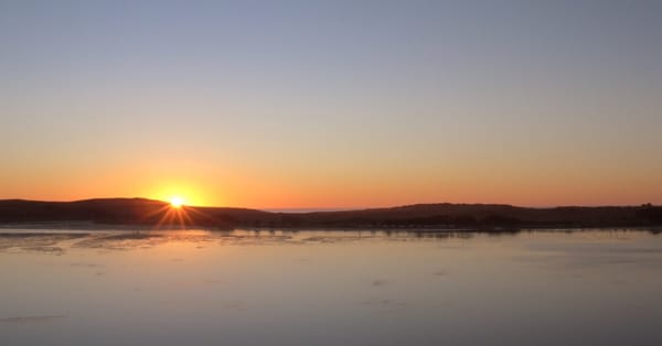 Sonoma Coast Vineyards by null