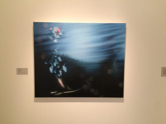 Carolyn Campagna Kleefeld Contemporary Art Museum by null