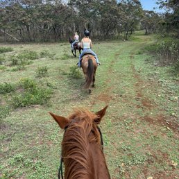 Sweetheart horseback ride Sweetheart horseback ride