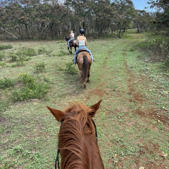Gunstock Ranch - Sweetheart horseback ride - Horseback Riding Near Me - Laie, Hawaii Gunstock Ranch - Sweetheart horseback ride - Horseback Riding Near Me - Laie, Hawaii