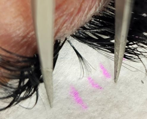 Virtue Lash by null