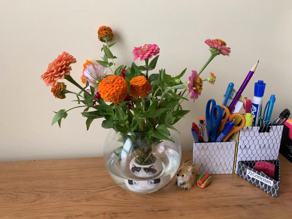 DUBLIN FLOWER FARM 92 Photos 7525 Hyland Croy Rd, Plain City, Ohio