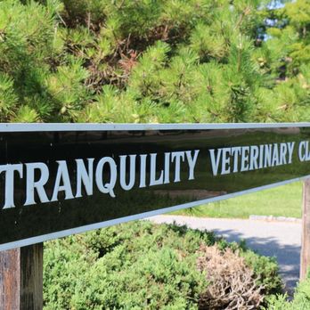 Tranquility Veterinary Clinic - Veterinarians Near Me - Tranquility, New Jersey Tranquility Veterinary Clinic - Veterinarians Near Me - Tranquility, New Jersey