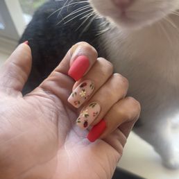 Photo of my hard gel manicure with hand pained nail art by Brooke Photo of my hard gel manicure with hand pained nail art by Brooke