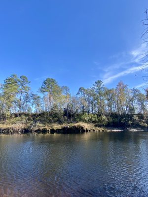Madison Blue Spring State Park by null