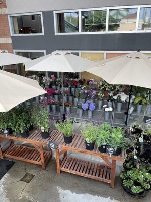 Metropolitan Market by null