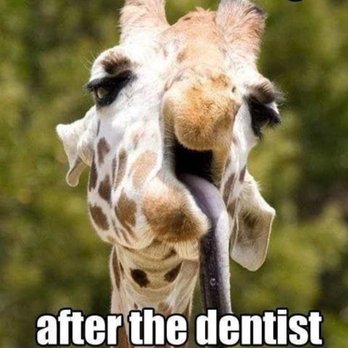 Nicole H Gordon, DDS - Yup... this is what you think people see after you leave. - General Dentistry Near Me - Stateline, Nevada Nicole H Gordon, DDS - Yup... this is what you think people see after you leave. - General Dentistry Near Me - Stateline, Nevada