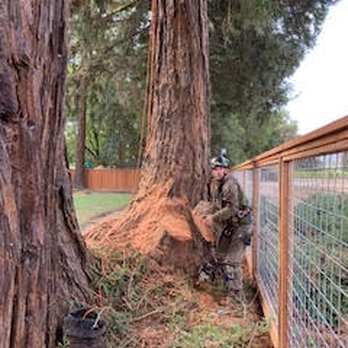 Mike's Tree Service - Tree Services Near Me - Napa, California