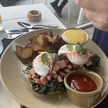 VUE - Eggs Benedict sub salmon for Canadian bacon - New American Near Me - Carlsbad, California VUE - Eggs Benedict sub salmon for Canadian bacon - New American Near Me - Carlsbad, California